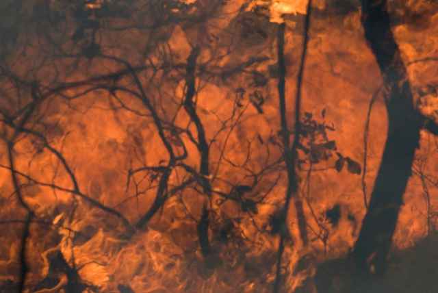 Professor Klause Moeltner on Wildfires Professor Klause Moeltner on Wildfires