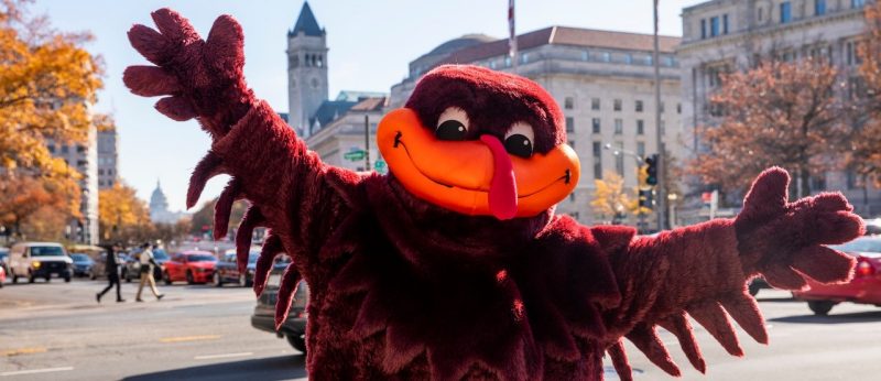 November 24, 2019 - Bread and Butter, the presidential turkeys, attend a press conference in their honor at the Willard Intercontinental Washington, D.C. on Monday, November 25, 2019. (Photo by Erin Williams/Virginia Tech)