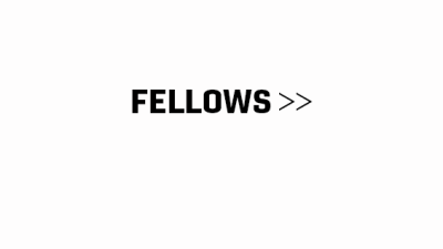 Fellows