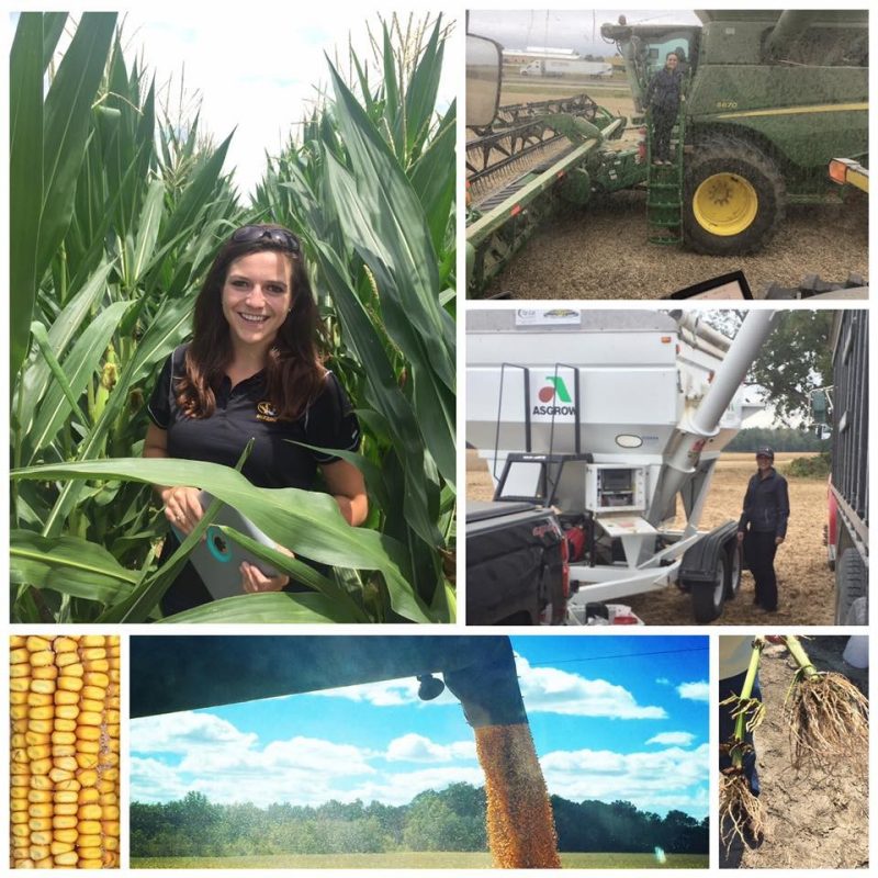 In the field with farmers / corn  2016 