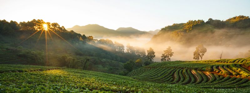 Adobe Stock photo of farm with hills in the background