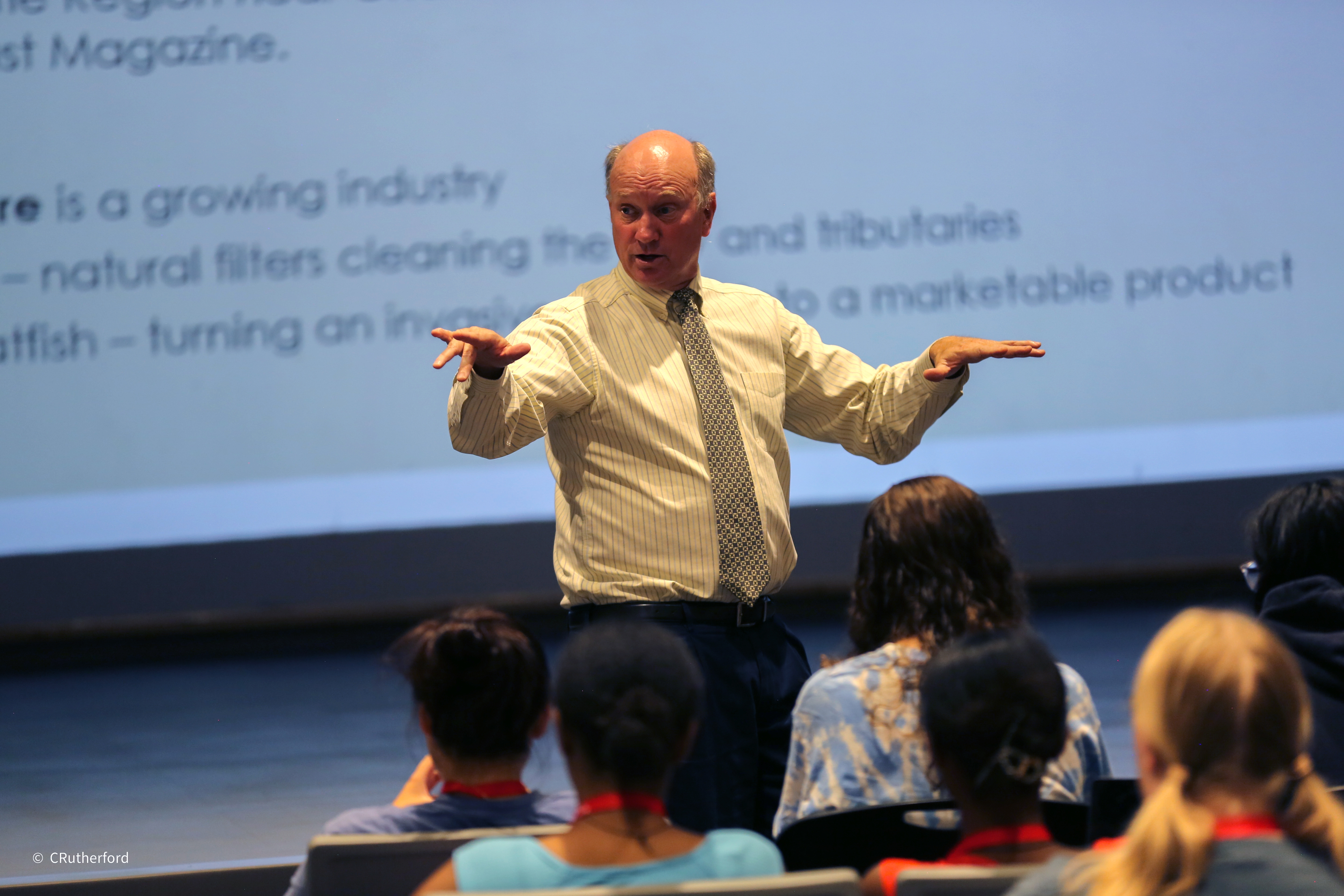 Image of someone standing in front of people and presenting