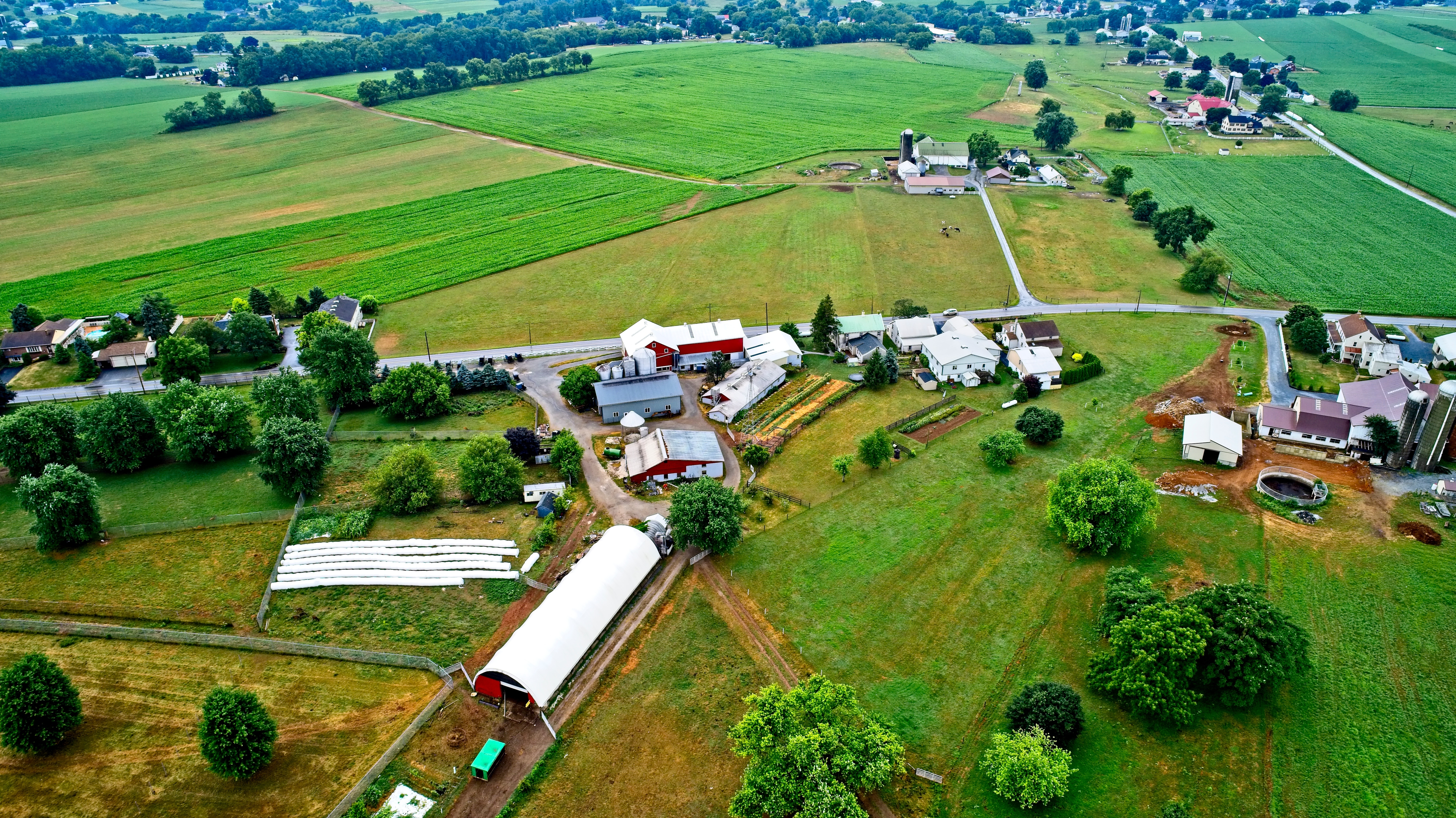 Picture of farm land