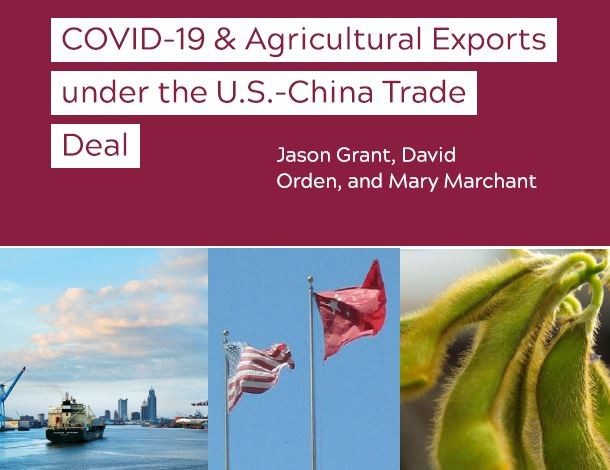 Cover page image for the COVID-19 & Ag Exports under the US-China Trade Deal policy update