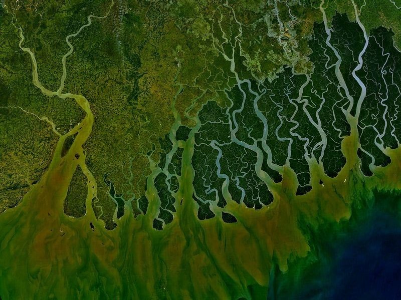 Satellite image of the Ganges River Delta.