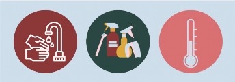 Image displays the proper steps in handling raw pet food. 