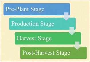 A simple flow diagram with different colored boxes showing the movement from pre-plant to production to harvest to post-harvest stages.