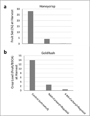 Trees of ‘Honeycrisp’ and ‘GoldRush’ were treated with a mixture of Maxcel + Carbaryl + Regulaid or PoMaxa + Carbaryl + Regulaid at petal all and at fruit size (~10mm). The time of application was determined by the Carbohydrate thinning model on NEWA. Fruit set (%) was calcuated based on an intial number of 100 fruit/tree. Crop load was determined based on the number of fruit/1 cm2 of branch cross sectional area (BCSA).